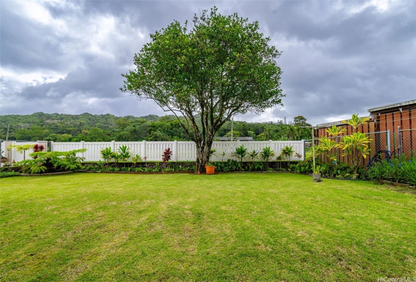 Beautiful yard, fenced in.