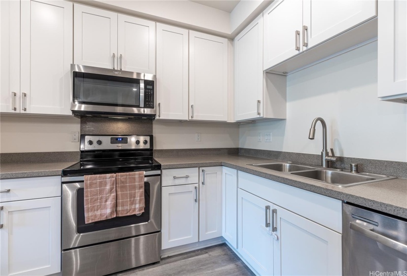 Large basin sink, Microwave Hood, Range/Oven, and Dishwasher.