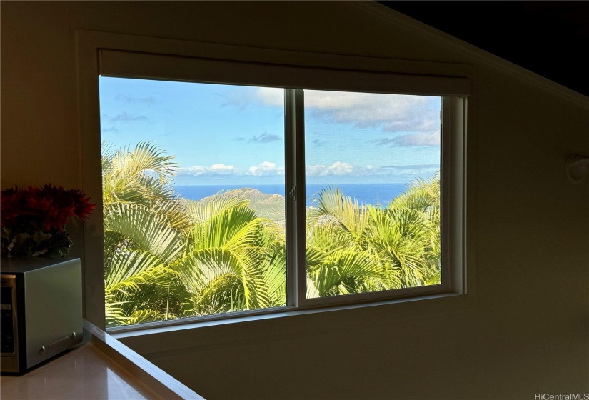 Kitchen view