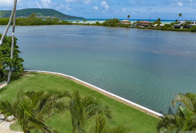 The lagoon is a fish nursery for a wide range of reef and open water fish.