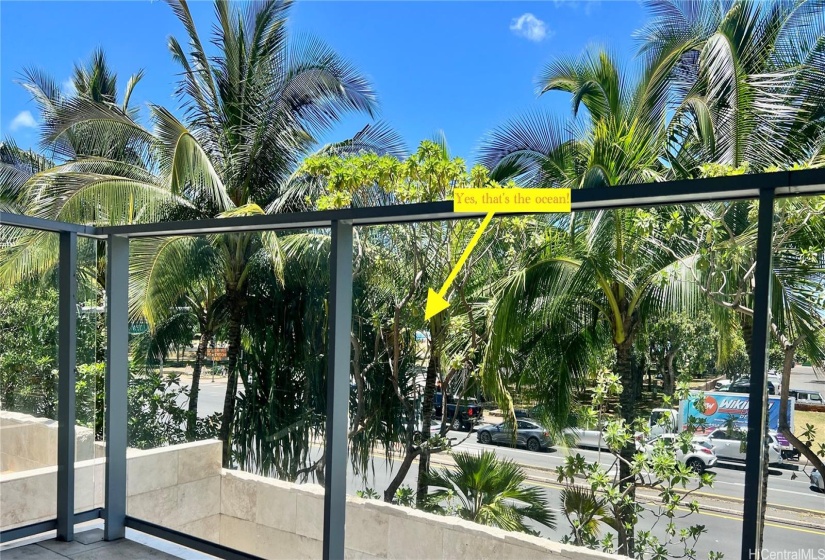 Prime location by Ala Moana Beach/Park