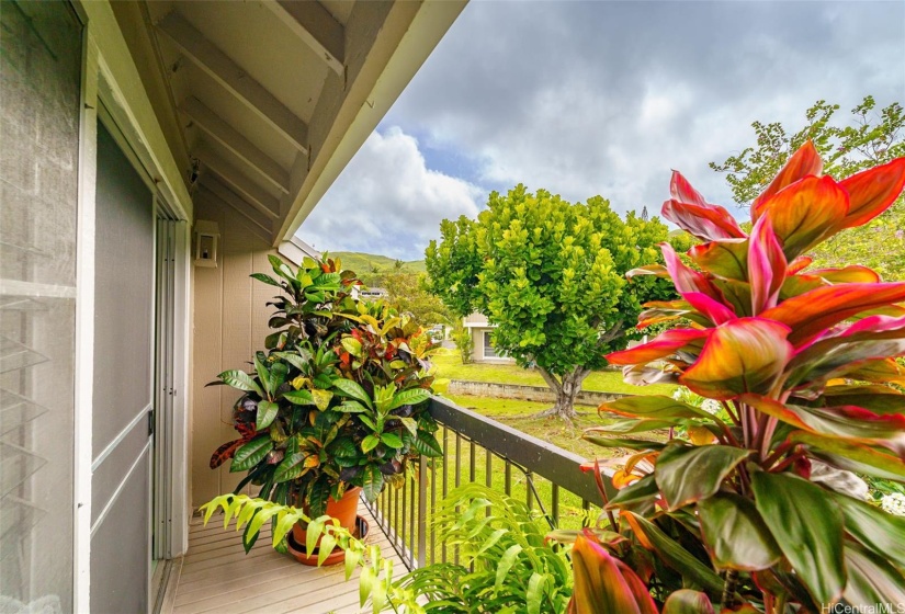 Balcony features maturer plants to give added privacy.  Auto drip line for plants.