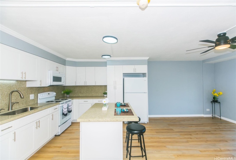 New Kitchen w/ Quartz Counter Tops