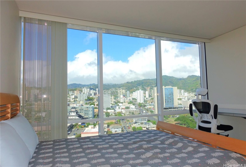 Larger bedroom w/ enough space for a king bed & work station. Oh, yes...and natural lighting with views.