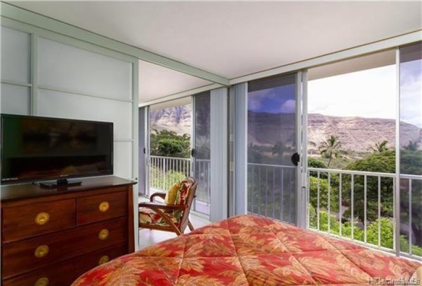 Double Mountain View from bedroom! Two televisions; Bedroom and Living Room!