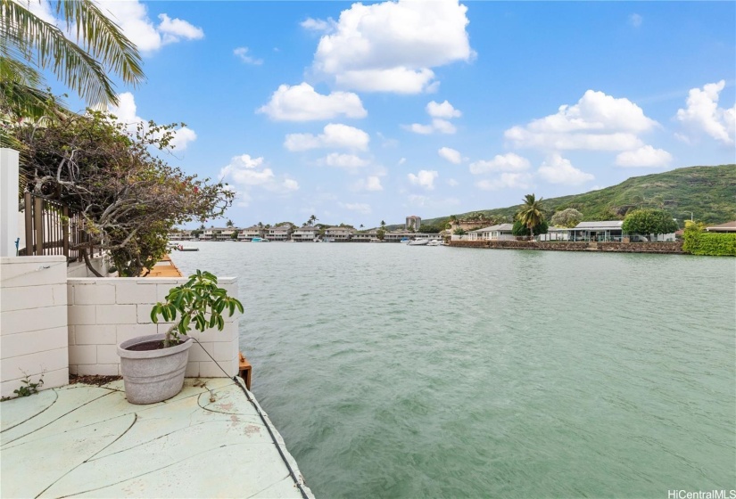 Fish right from your house! Many fish seen from just standing here, looking into the water.