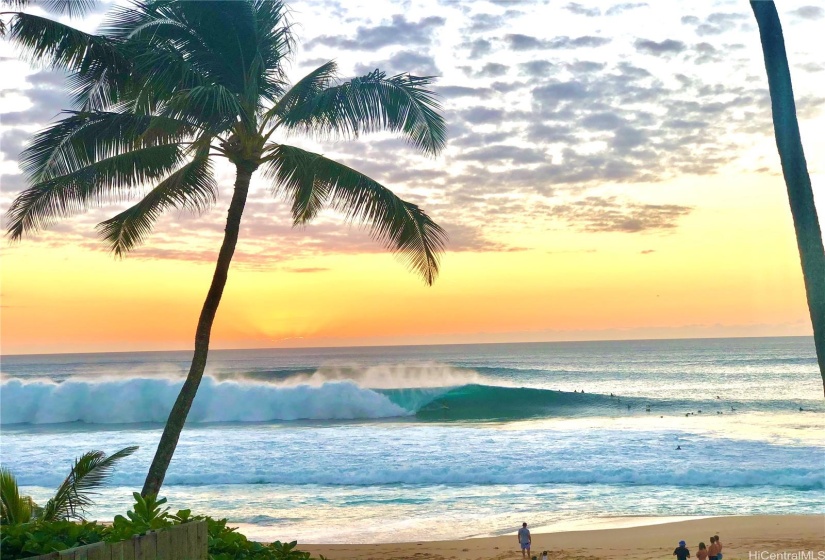 Views Of Pipe Perfection From Your Living Room