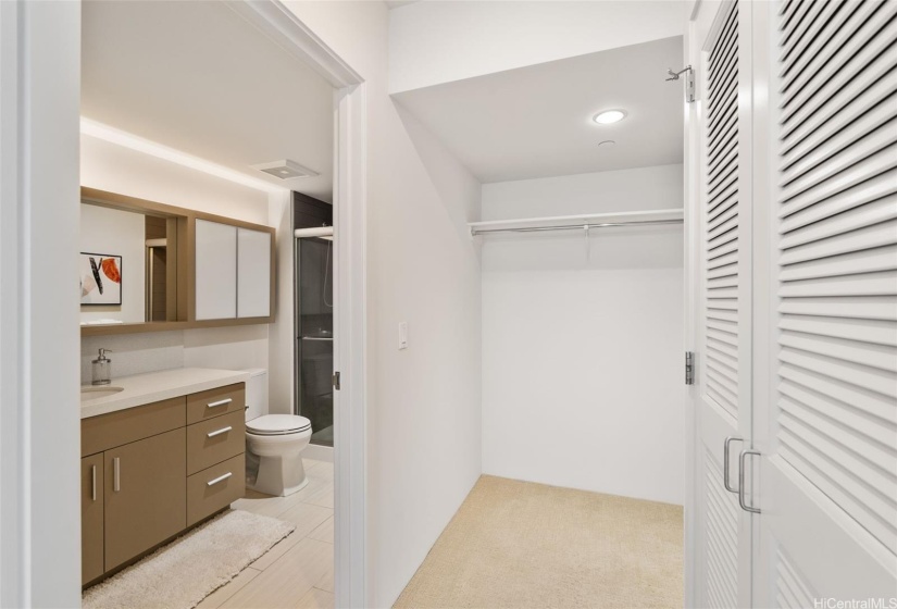 Large walk-in closet and linen closet.