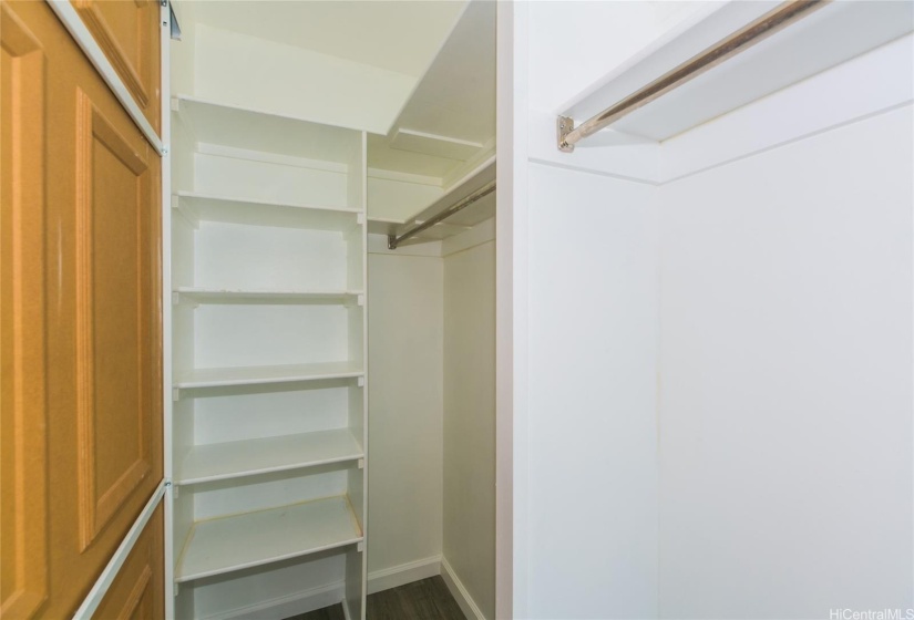 Modernized spacious closet