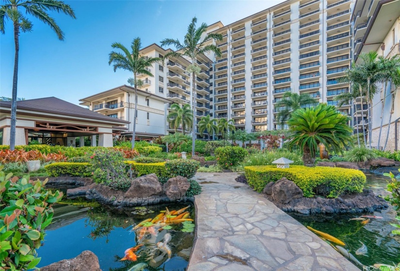 Beach Villas koi pond