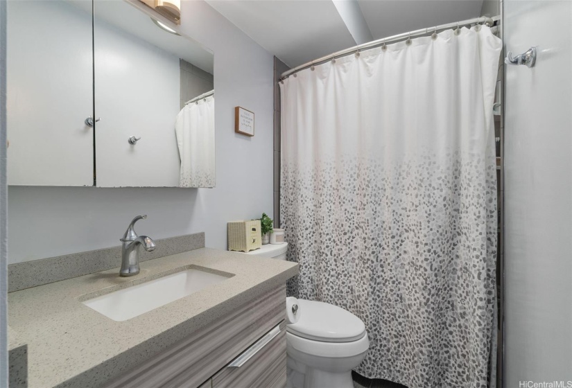 Guest bathroom