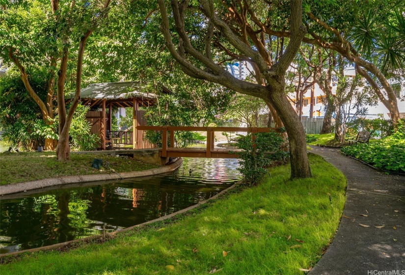 Tranquil pond and walking paths