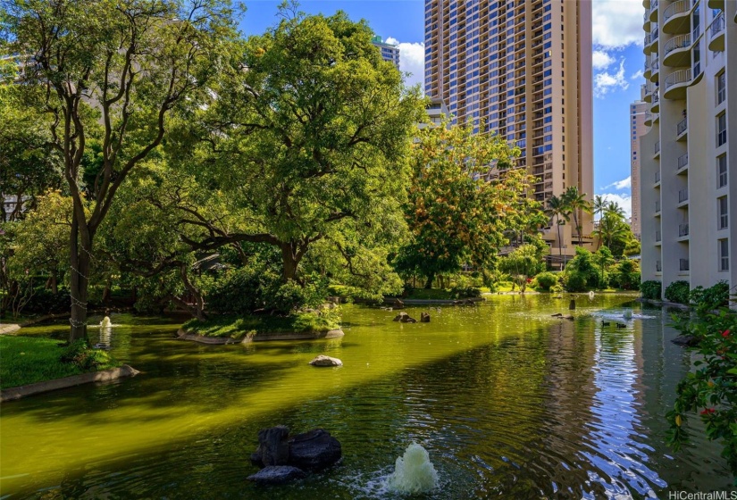 Large, private pond