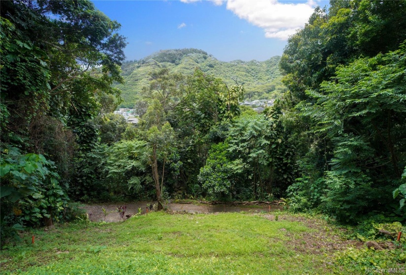 Looking from proposed parking area over Unit B building site, nature trail and across valley