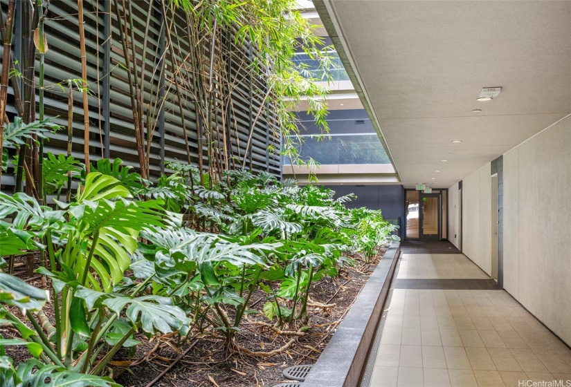 Welcome to Anaha Podium levels, where you will be welcomed by much Hawaiian greenery leading to your unit #315.