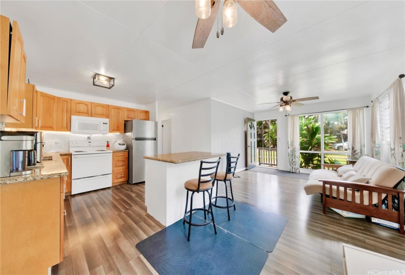 Open concept kitchen/living areas