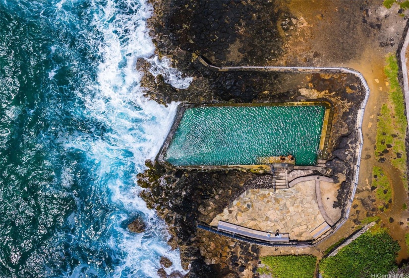 Natural community saltwater pool