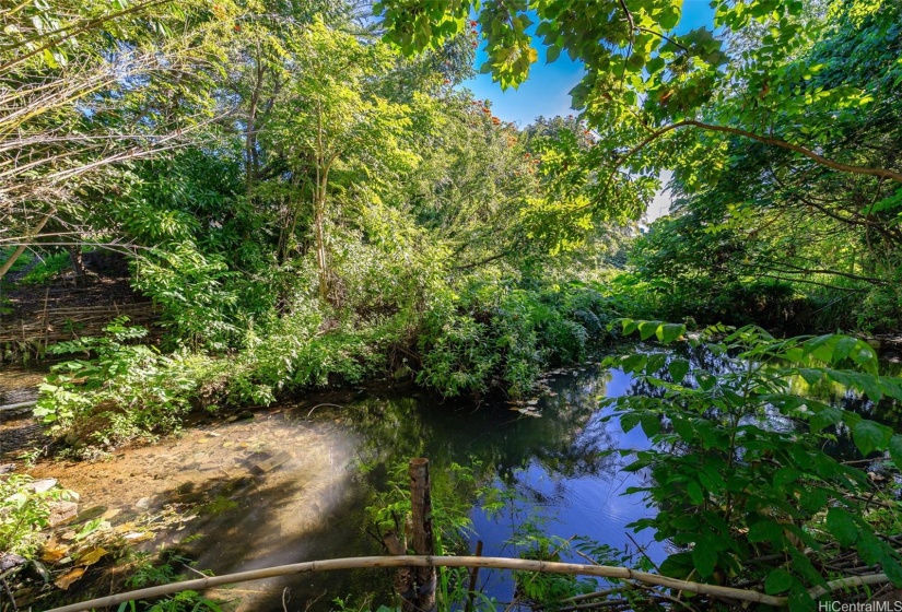 Natural Spring