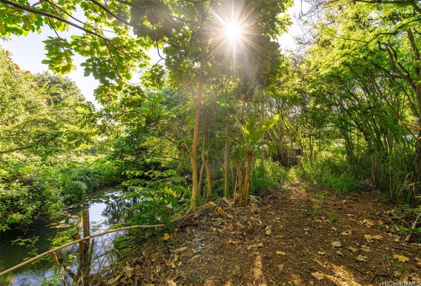 Natural Spring and extra land to developed off to the left.