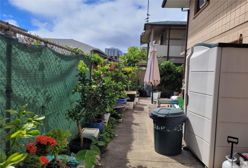 One of the tenants garden