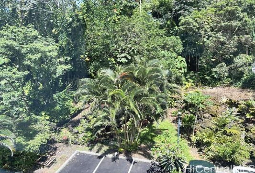 View towards the park outside the bedroom window, dark green car is in the deeded parking stall (#90) for this unit... 1875 KALANIANAOLE AVE, #311