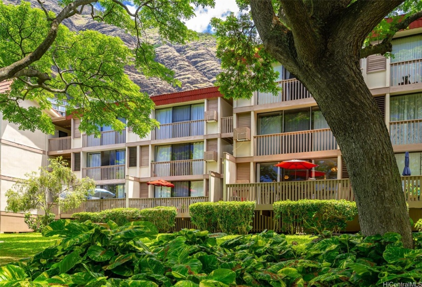 Lush tropical landscaping surrounds the property