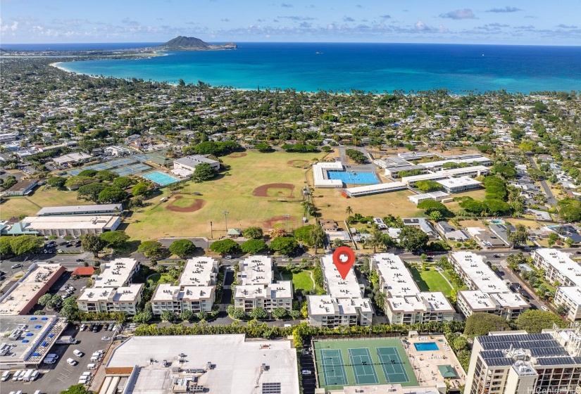 You are across Kailua You are down the street from Target, Whole Foods, and lots of cool restaurants and shops.  District Park and very close to Kailua Beach.