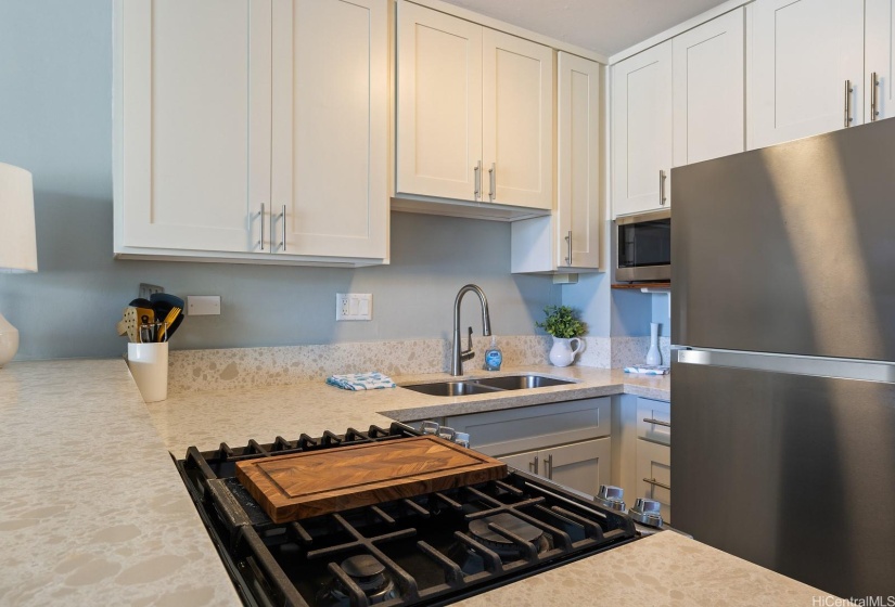 Gas Stove and Stainless Steel Refrigerator