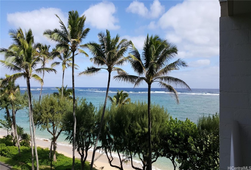 White sand beach and blue pacific ocean