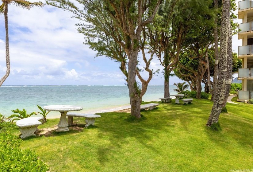 Enjoy yourself on the picnic grounds and beach at Hanohano Hale