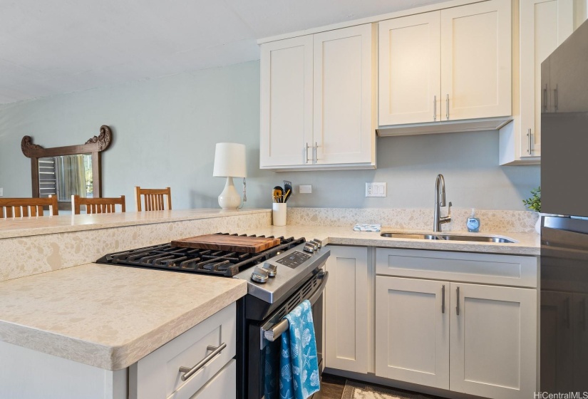 Shaker Cabinets with Quartz Counter