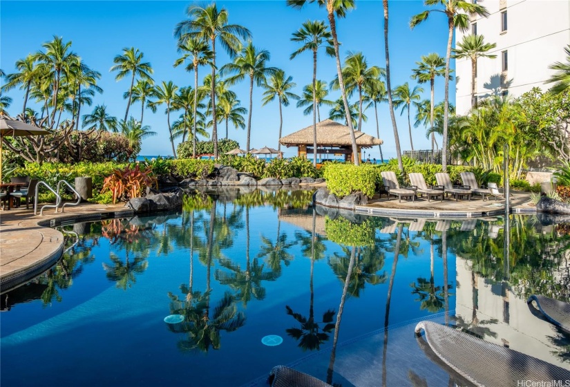 Tropical Lagoon Pools & Palm Trees