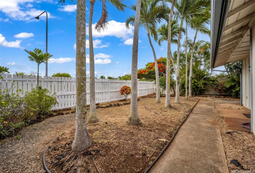 Front/side yard; enclosed by wooden fence.