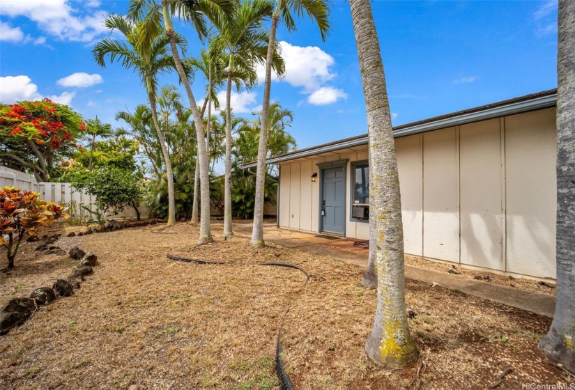 Front/side yard; enclosed by wooden fence.