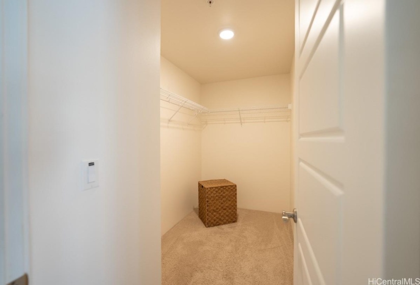 Primary Bedroom Closet