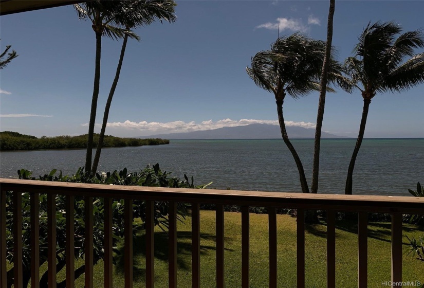 Maui view