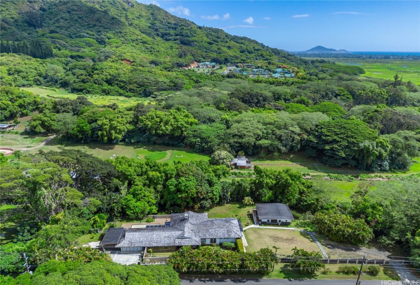 this beautiful Japanese inspired home spreads  across the land