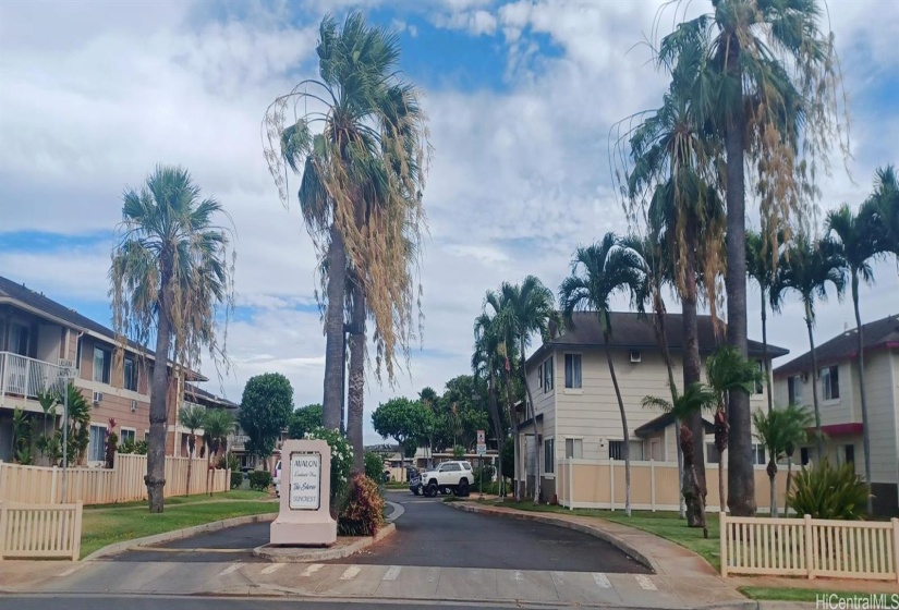 Palm-Lined Entrance