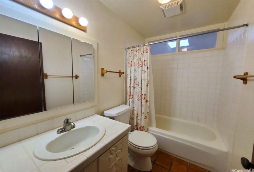 Hall Bathroom with Tropical Motif Cabinetry