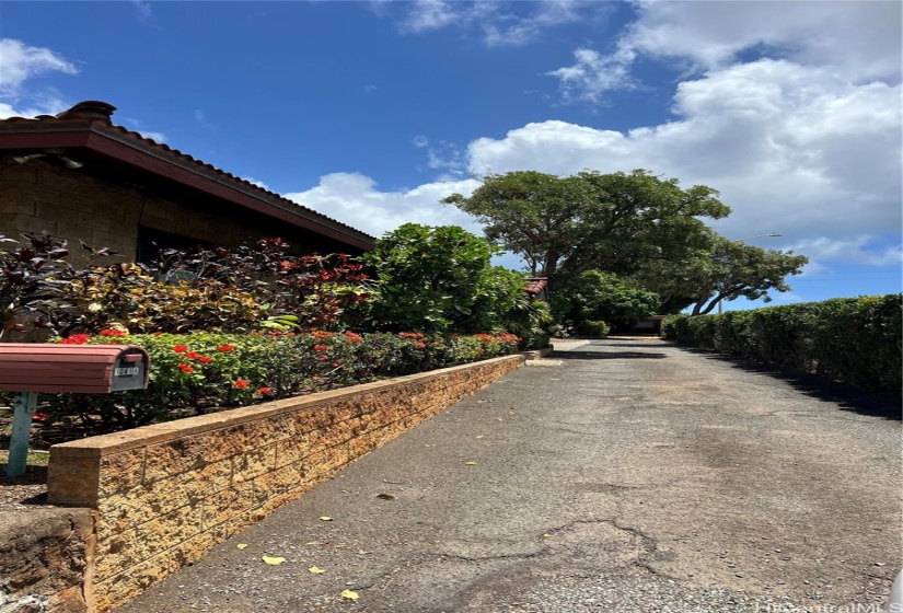 Driveway leading to property