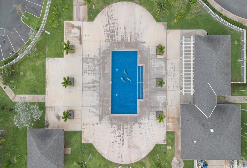 Private Pool & Pavilions for Montecito Residence