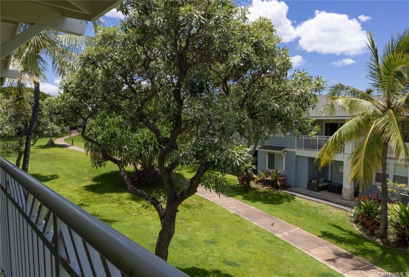 View from your lanai; this walking path takes you to the waterfall pool, jacuzzi and bbq cabanas.