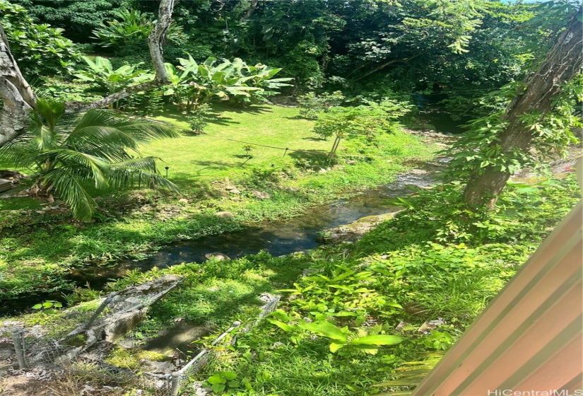 Kahalu'u Stream