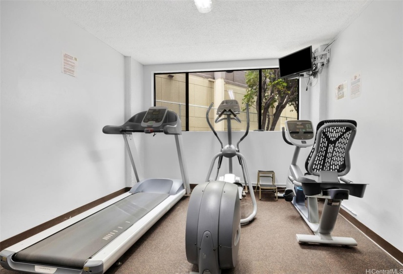 Private Gym with additional equipment not pictured