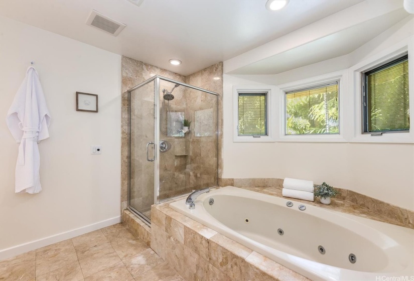 Primary Bathroom Walk-In Shower and Jacuzzi Tub