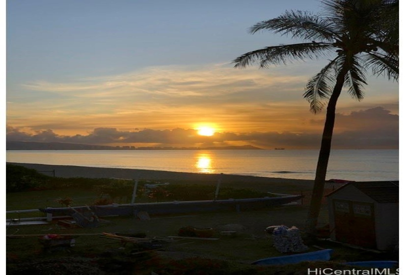 Sunrise and our Coconut Tree