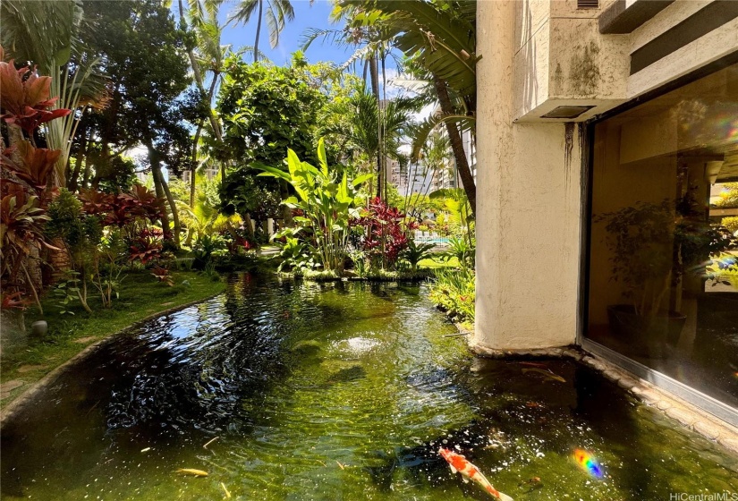 Beautiful Koi pond on properties