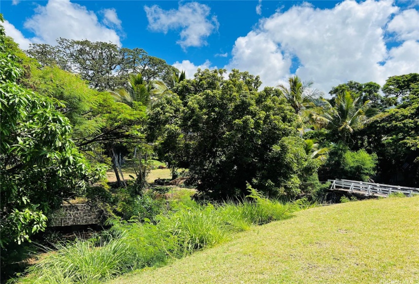 The base of the property is at Pauoa Stream so the back neighbors are quite far.