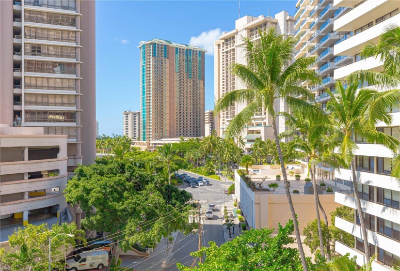 Treetop view from the lanai