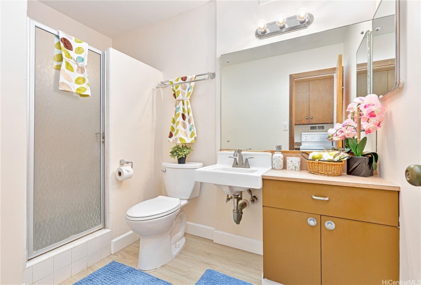 Spacious bathroom with step up walk in shower